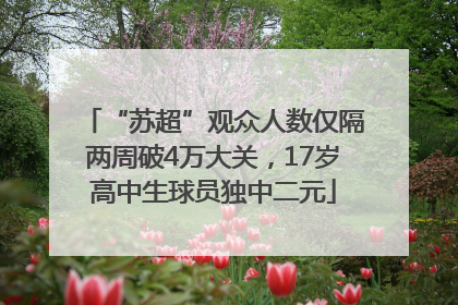 “苏超”观众人数仅隔两周破4万大关，17岁高中生球员独中二元