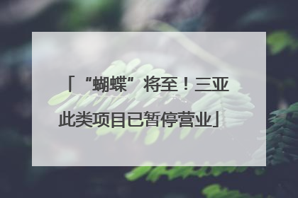 “蝴蝶”将至！三亚此类项目已暂停营业