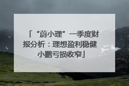 “蔚小理”一季度财报分析：理想盈利稳健 小鹏亏损收窄