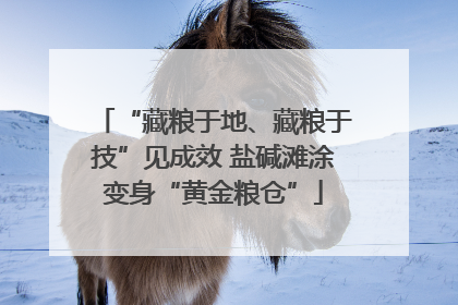 “藏粮于地、藏粮于技”见成效 盐碱滩涂变身“黄金粮仓”