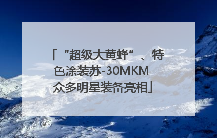 “超级大黄蜂”、特色涂装苏-30MKM 众多明星装备亮相