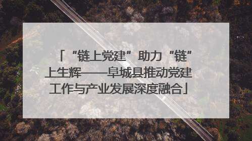 “链上党建”助力“链”上生辉——阜城县推动党建工作与产业发展深度融合
