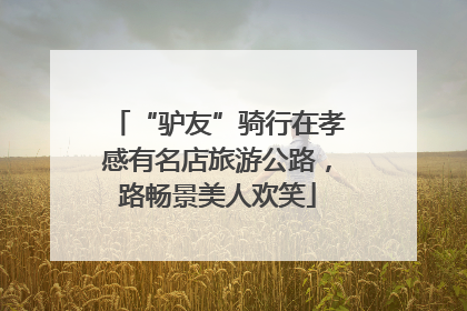 “驴友”骑行在孝感有名店旅游公路，路畅景美人欢笑