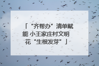 “齐帮办”清单赋能 小王家庄村文明花“生根发芽”