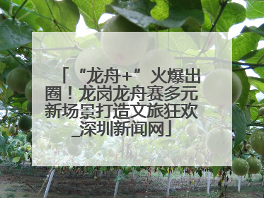 “龙舟+”火爆出圈！龙岗龙舟赛多元新场景打造文旅狂欢_深圳新闻网