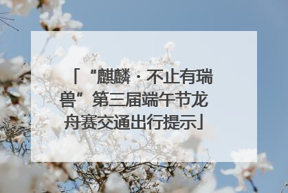 “麒麟・不止有瑞兽”第三届端午节龙舟赛交通出行提示