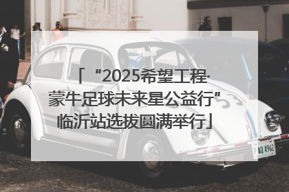 “2025希望工程·蒙牛足球未来星公益行”临沂站选拔圆满举行