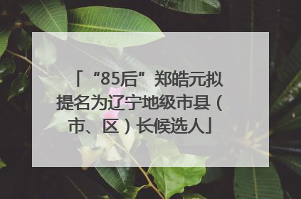 “85后”郑皓元拟提名为辽宁地级市县（市、区）长候选人