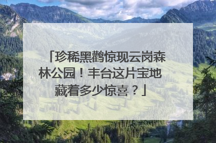珍稀黑鹳惊现云岗森林公园！丰台这片宝地藏着多少惊喜？