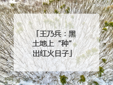 王乃兵：黑土地上“种”出红火日子