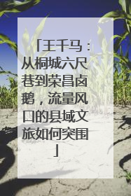 王千马：从桐城六尺巷到荣昌卤鹅，流量风口的县域文旅如何突围