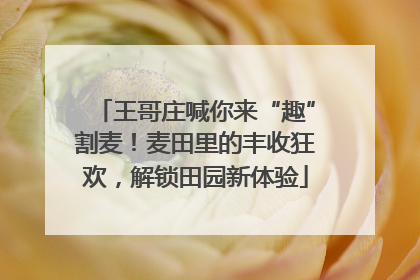王哥庄喊你来“趣”割麦！麦田里的丰收狂欢，解锁田园新体验