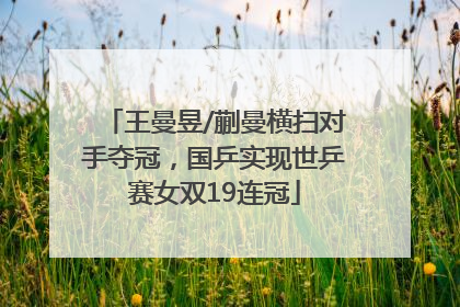 王曼昱/蒯曼横扫对手夺冠，国乒实现世乒赛女双19连冠