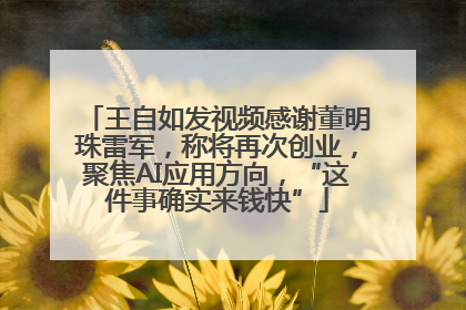 王自如发视频感谢董明珠雷军，称将再次创业，聚焦AI应用方向，“这件事确实来钱快”