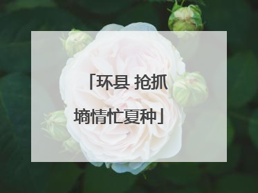 环县 抢抓墒情忙夏种