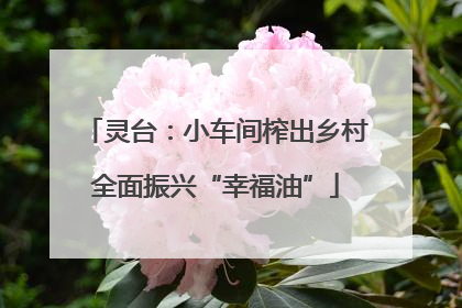 灵台：小车间榨出乡村全面振兴“幸福油”