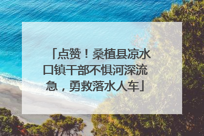 点赞！桑植县凉水口镇干部不惧河深流急，勇救落水人车