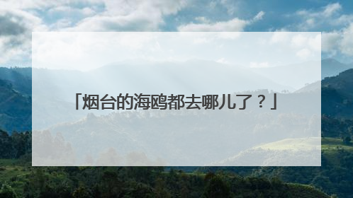 烟台的海鸥都去哪儿了？