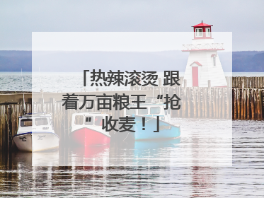 热辣滚烫 跟着万亩粮王“抢”收麦！