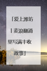 爱上潍坊丨麦浪翻涌里写满丰收故事