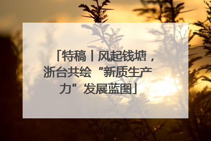 特稿丨风起钱塘，浙台共绘“新质生产力”发展蓝图