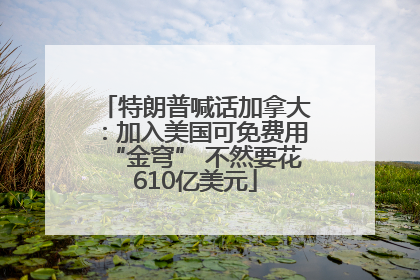 特朗普喊话加拿大：加入美国可免费用“金穹” 不然要花610亿美元