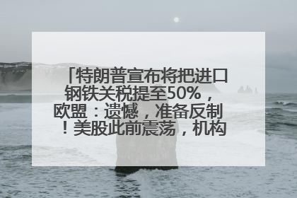 特朗普宣布将把进口钢铁关税提至50%，欧盟：遗憾，准备反制！美股此前震荡，机构：美元正进入熊市