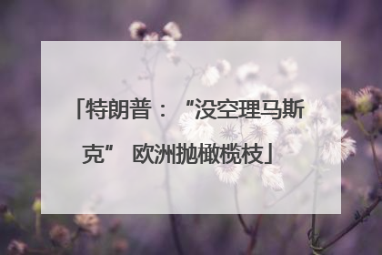 特朗普：“没空理马斯克” 欧洲抛橄榄枝
