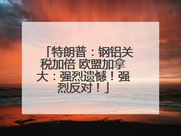 特朗普：钢铝关税加倍 欧盟加拿大：强烈遗憾！强烈反对！