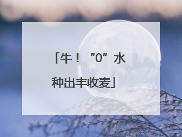 牛！“0”水种出丰收麦
