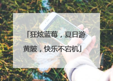 狂炫蓝莓，夏日游黄陂，快乐不宕机