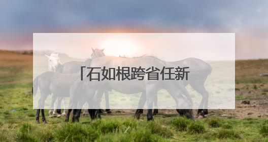 石如根跨省任新疆工信厅副厅长，连续多名年轻干部调任新疆
