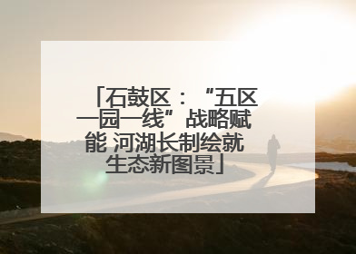 石鼓区：“五区一园一线”战略赋能 河湖长制绘就生态新图景