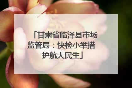 甘肃省临泽县市场监管局：快检小举措 护航大民生
