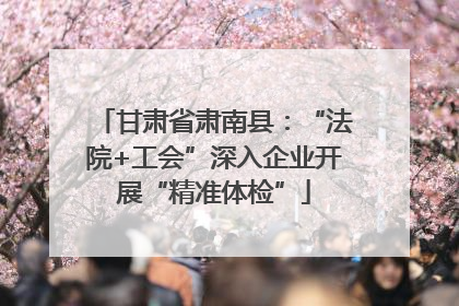 甘肃省肃南县：“法院+工会”深入企业开展“精准体检”