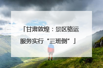 甘肃敦煌：景区骆运服务实行“三班倒”