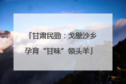 甘肃民勤：戈壁沙乡孕育“甘味”领头羊