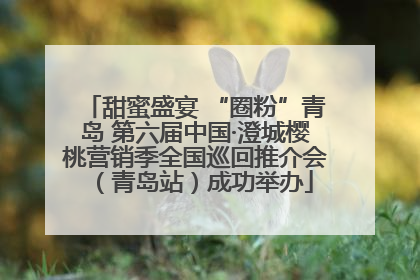 甜蜜盛宴 “圈粉”青岛 第六届中国·澄城樱桃营销季全国巡回推介会（青岛站）成功举办