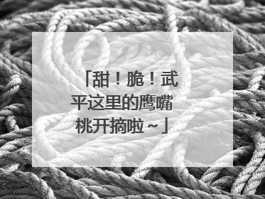 甜！脆！武平这里的鹰嘴桃开摘啦～