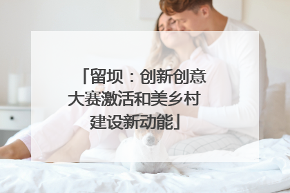 留坝：创新创意大赛激活和美乡村建设新动能