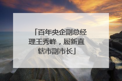 百年央企副总经理王秀峰，履新直辖市副市长