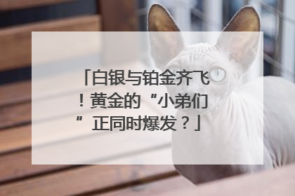 白银与铂金齐飞！黄金的“小弟们”正同时爆发？