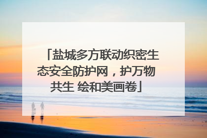 盐城多方联动织密生态安全防护网，护万物共生 绘和美画卷