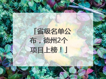 省级名单公布，德州2个项目上榜！