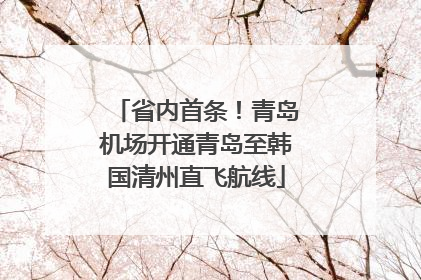 省内首条！青岛机场开通青岛至韩国清州直飞航线