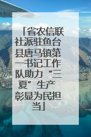 省农信联社派驻鱼台县唐马镇第一书记工作队助力“三夏”生产 彰显为民担当
