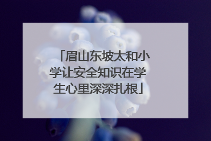 眉山东坡太和小学让安全知识在学生心里深深扎根