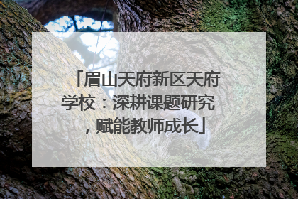 眉山天府新区天府学校：深耕课题研究，赋能教师成长