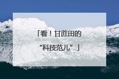 看！甘蔗田的“科技范儿”