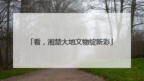 看，湘楚大地文物绽新彩